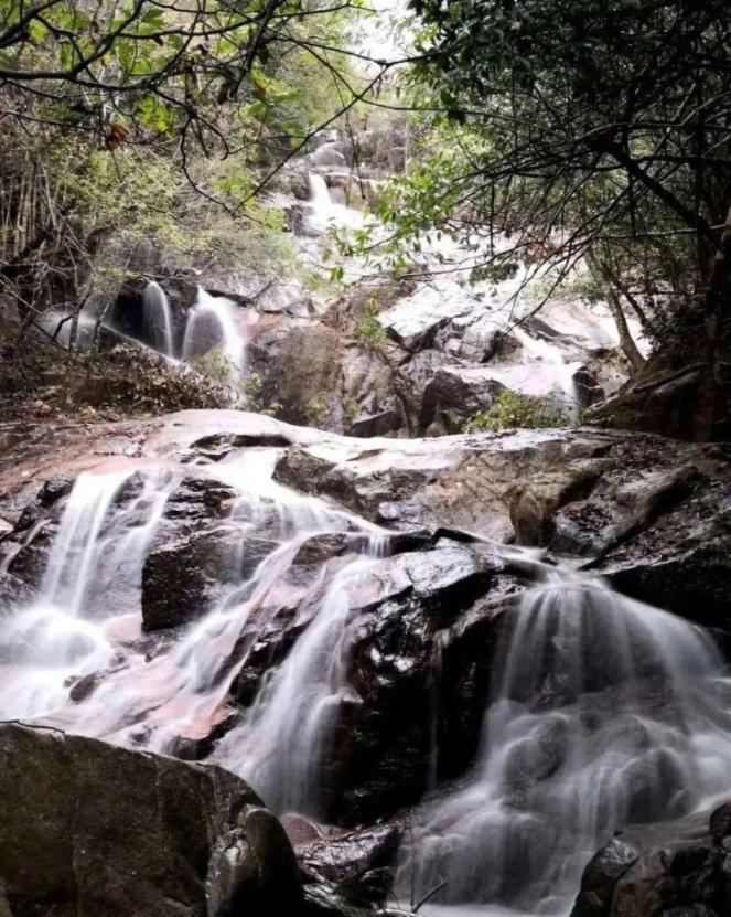 杭州一男子家中屋顶漏水,爬上楼顶发现竟有个私家花园